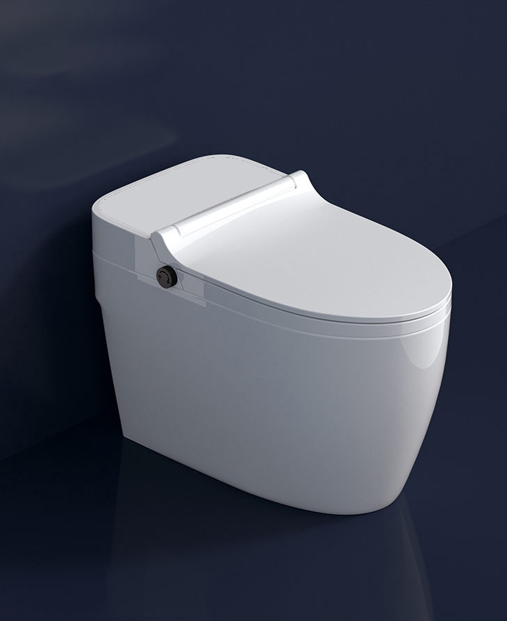 FLOOR MOUNTED TOILET BOWL - Tesvila